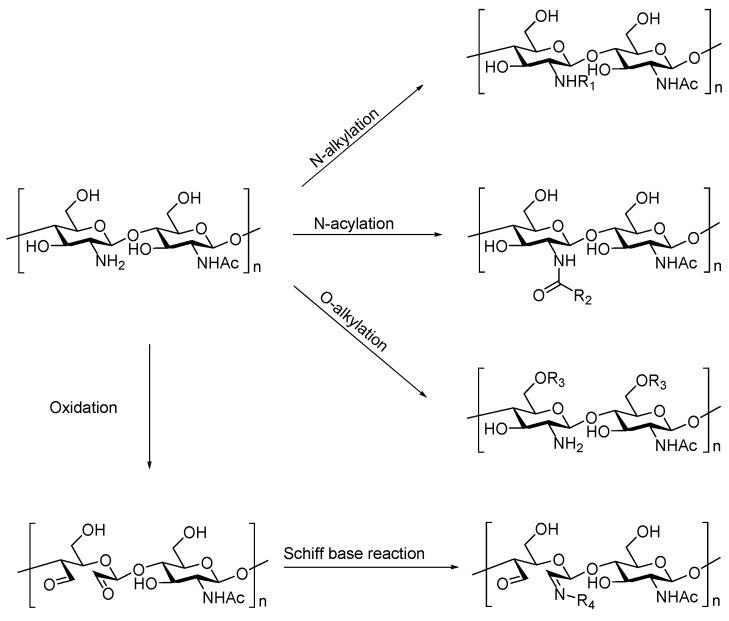 https://cdn.ncbi.nlm.nih.gov/pmc/blobs/fa74/6222903/53a473b6884a/molecules-23-02661-sch001.jpg