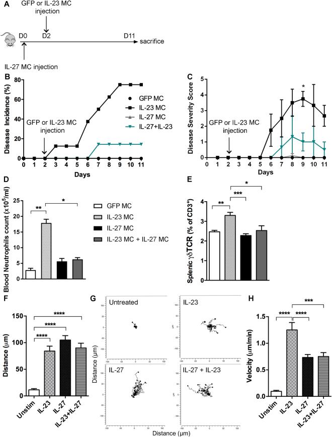 https://cdn.ncbi.nlm.nih.gov/pmc/blobs/fa78/5954154/59ad4e9e06da/41598_2018_25988_Fig4_HTML.jpg