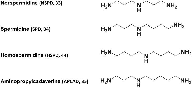 https://cdn.ncbi.nlm.nih.gov/pmc/blobs/fa79/4951125/b16e54bb8ac7/pone.0159494.g001.jpg
