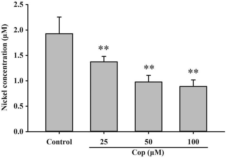 https://cdn.ncbi.nlm.nih.gov/pmc/blobs/fa7d/6136390/88feac09180a/IENZ_A_1501044_F0013_B.jpg
