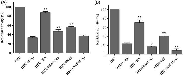 https://cdn.ncbi.nlm.nih.gov/pmc/blobs/fa7d/6136390/f4db24964bf8/IENZ_A_1501044_F0006_B.jpg
