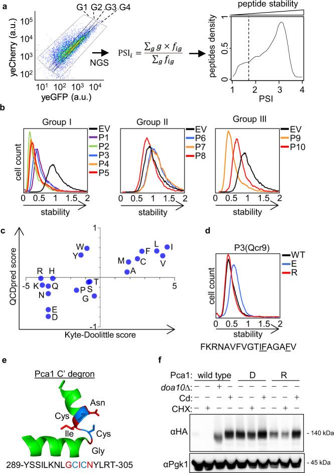 https://cdn.ncbi.nlm.nih.gov/pmc/blobs/fa7d/9732359/3cdee0739fd0/41467_2022_35298_Fig2_HTML.jpg