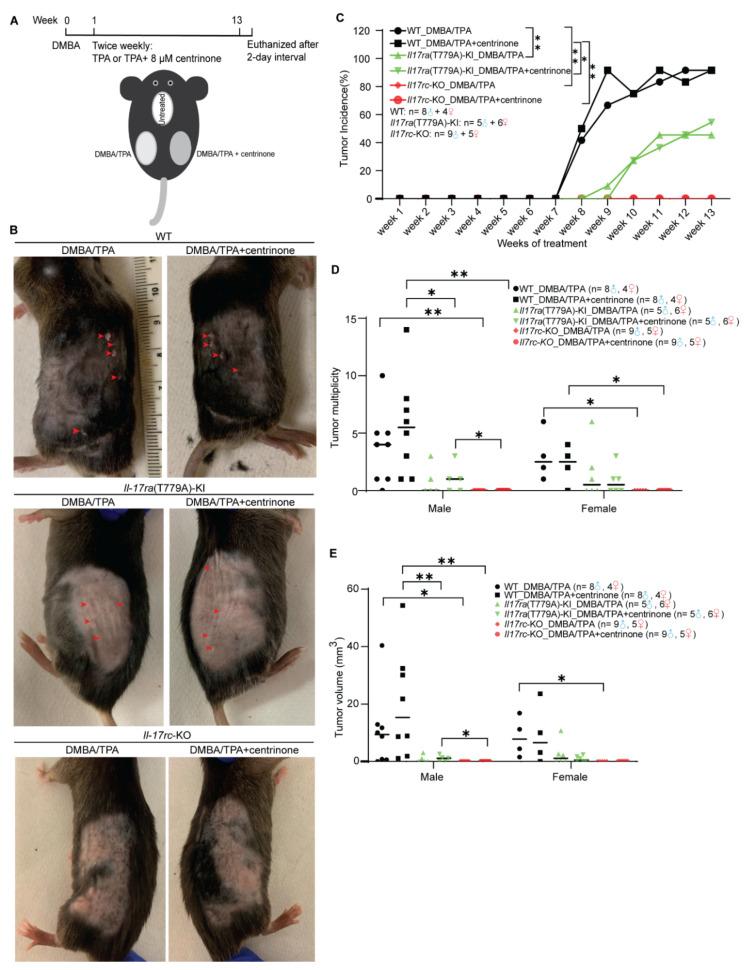 https://cdn.ncbi.nlm.nih.gov/pmc/blobs/fa7e/9405709/8c6e9aaa2d22/biomedicines-10-01976-g006.jpg