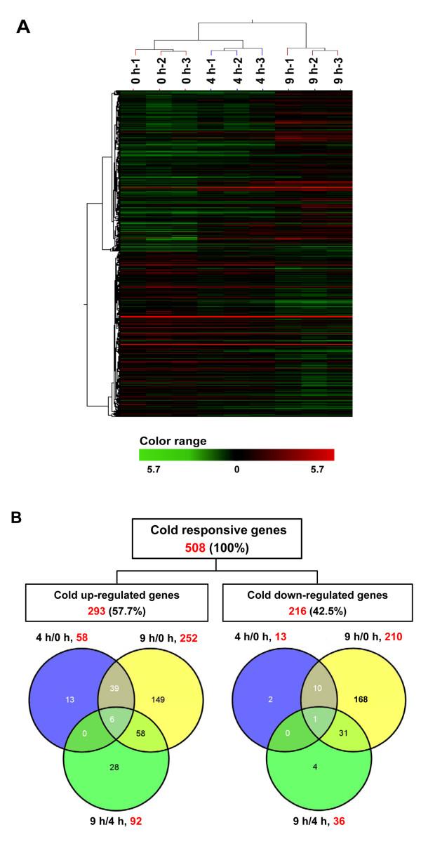 https://cdn.ncbi.nlm.nih.gov/pmc/blobs/fa7f/3339519/7c7c1497d631/1471-2164-13-64-2.jpg