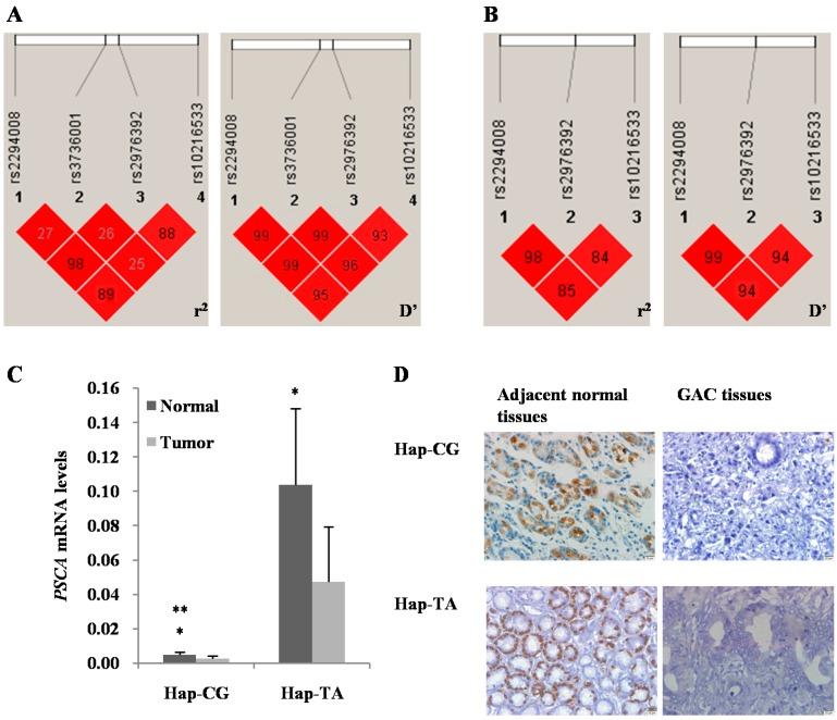 https://cdn.ncbi.nlm.nih.gov/pmc/blobs/fa7f/4463721/1b5a7dd52371/ijms-16-11648-g001.jpg