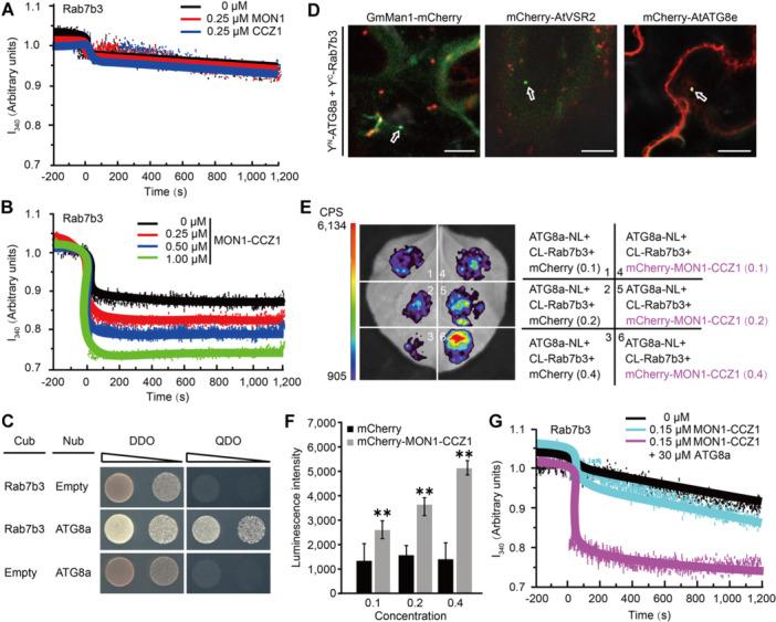 https://cdn.ncbi.nlm.nih.gov/pmc/blobs/fa80/11734111/2833d377e39e/JIPB-67-35-g010.jpg