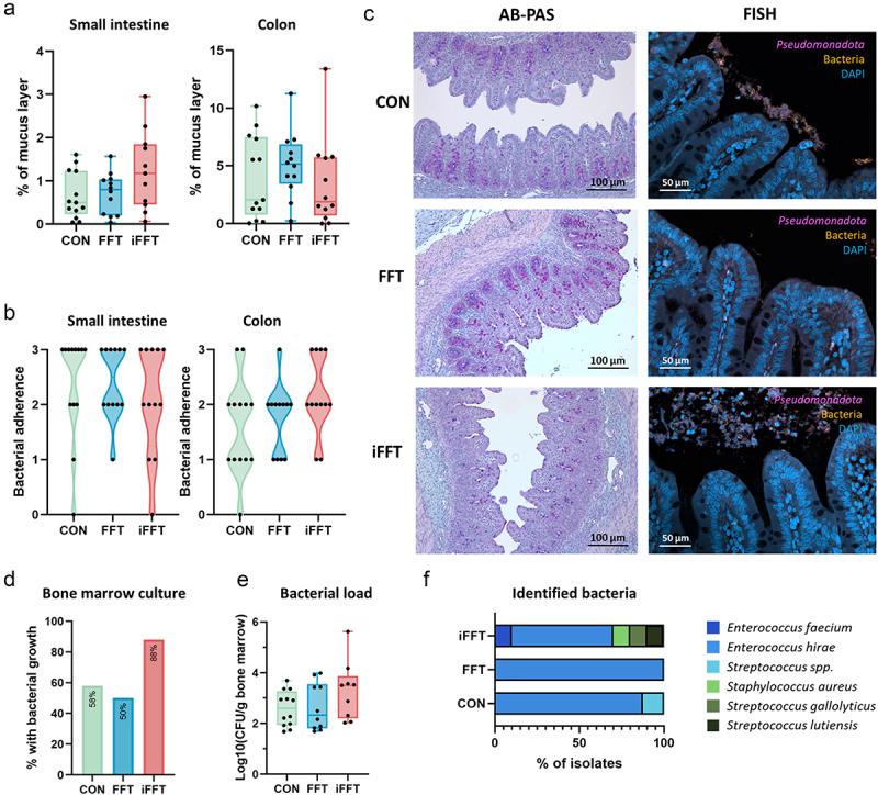 https://cdn.ncbi.nlm.nih.gov/pmc/blobs/fa82/11988273/ceafe2eb0af6/KGMI_A_2486517_F0003_OC.jpg