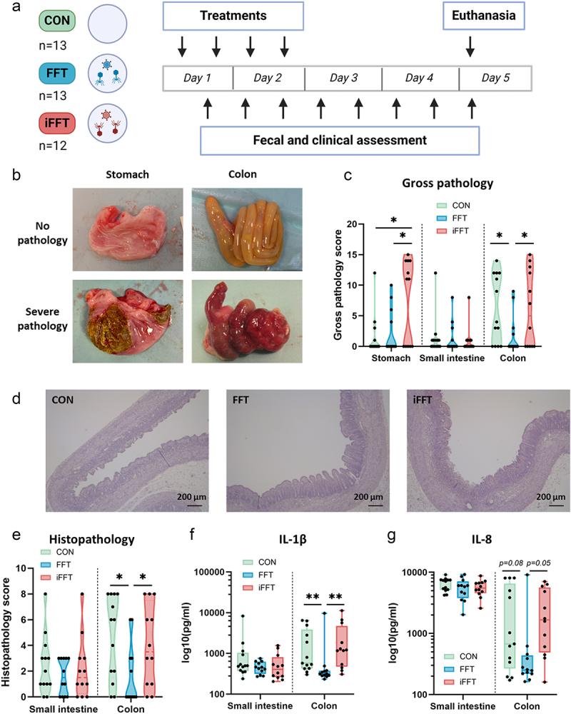 https://cdn.ncbi.nlm.nih.gov/pmc/blobs/fa82/11988273/d3fb9f4601d0/KGMI_A_2486517_F0002_OC.jpg