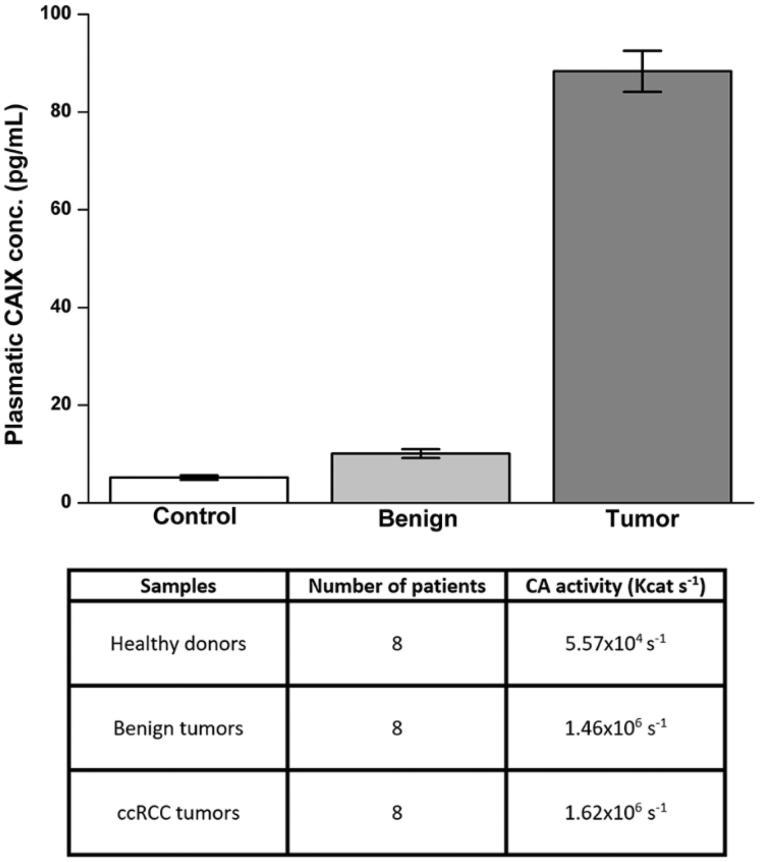 https://cdn.ncbi.nlm.nih.gov/pmc/blobs/fa82/7011953/86aaacf0f983/IENZ_A_1411350_F0005_B.jpg