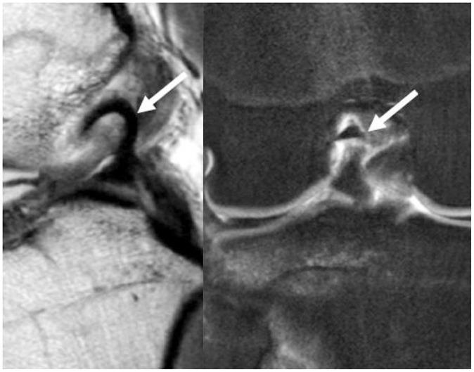 https://cdn.ncbi.nlm.nih.gov/pmc/blobs/fa82/9514523/94425f09ffe5/jksr-83-582-g018.jpg