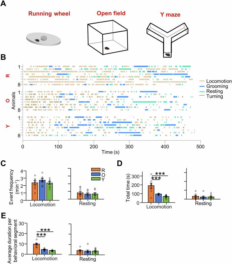 https://cdn.ncbi.nlm.nih.gov/pmc/blobs/fa84/12065898/723f930cabdd/42003_2025_8169_Fig1_HTML.jpg