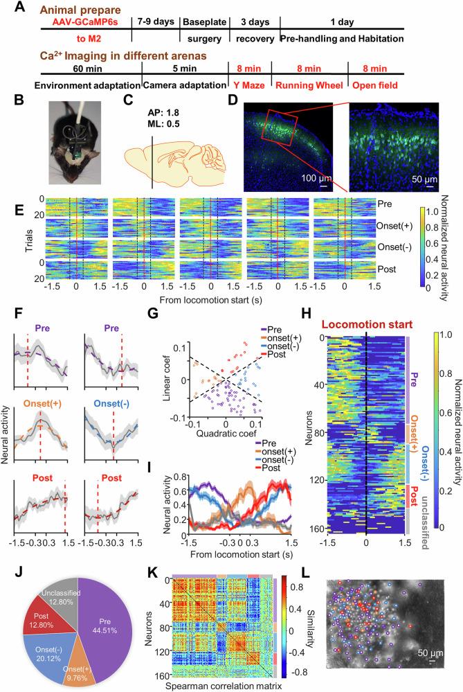 https://cdn.ncbi.nlm.nih.gov/pmc/blobs/fa84/12065898/e1d35009d861/42003_2025_8169_Fig2_HTML.jpg
