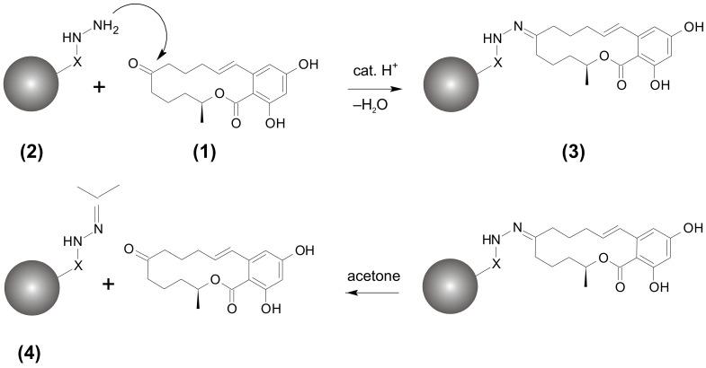 https://cdn.ncbi.nlm.nih.gov/pmc/blobs/fa84/9413969/08a5f1e2991b/toxins-14-00549-g001.jpg