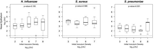 https://cdn.ncbi.nlm.nih.gov/pmc/blobs/fa89/2844402/3534dfa2f5a6/1471-2180-10-59-2.jpg