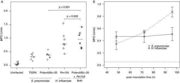 https://cdn.ncbi.nlm.nih.gov/pmc/blobs/fa89/2844402/96976075e879/1471-2180-10-59-6.jpg