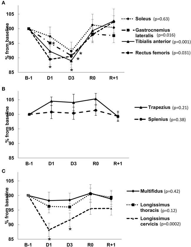 https://cdn.ncbi.nlm.nih.gov/pmc/blobs/fa8b/5645726/868dd076d064/fphys-08-00799-g0007.jpg