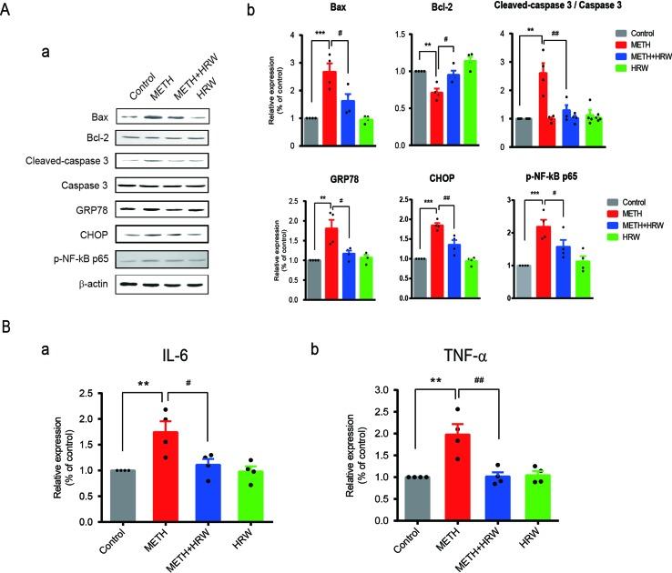 https://cdn.ncbi.nlm.nih.gov/pmc/blobs/fa8e/6664236/f85b2b133e90/fphar-10-00823-g006.jpg