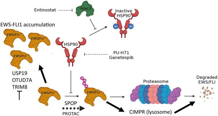 https://cdn.ncbi.nlm.nih.gov/pmc/blobs/fa8e/8686064/3dac587d654b/gr1.jpg