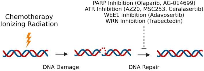 https://cdn.ncbi.nlm.nih.gov/pmc/blobs/fa8e/8686064/6194a6bdf54c/gr3.jpg