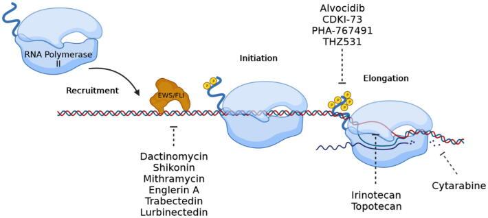 https://cdn.ncbi.nlm.nih.gov/pmc/blobs/fa8e/8686064/9e5db84c029e/gr4.jpg