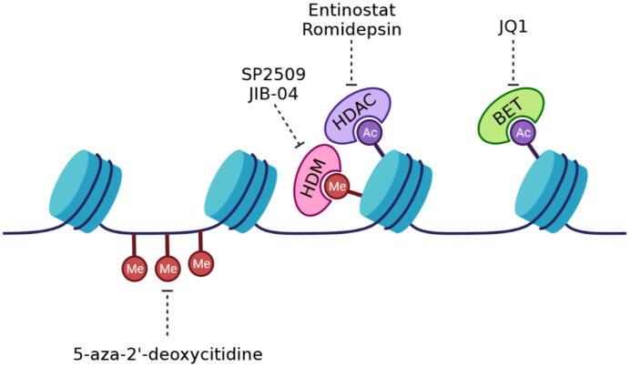 https://cdn.ncbi.nlm.nih.gov/pmc/blobs/fa8e/8686064/c3bf5fb9600c/gr2.jpg