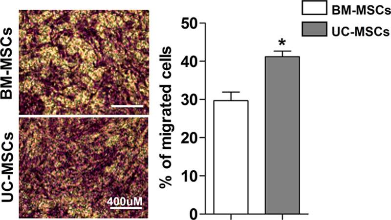 https://cdn.ncbi.nlm.nih.gov/pmc/blobs/fa91/6372053/c862cad9f57b/res-121-1192-g003.jpg