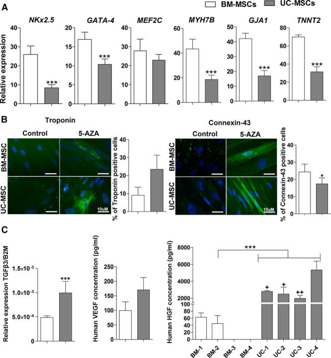 https://cdn.ncbi.nlm.nih.gov/pmc/blobs/fa91/6372053/e870d3d13537/res-121-1192-g001.jpg