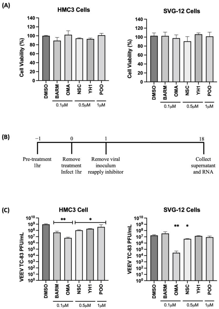 https://cdn.ncbi.nlm.nih.gov/pmc/blobs/fa98/10059822/38e862bccd02/viruses-15-00655-g002.jpg