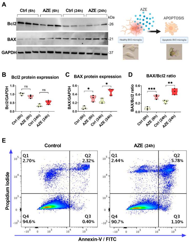 https://cdn.ncbi.nlm.nih.gov/pmc/blobs/fa99/9600089/073d112f703d/cimb-44-00308-g002.jpg