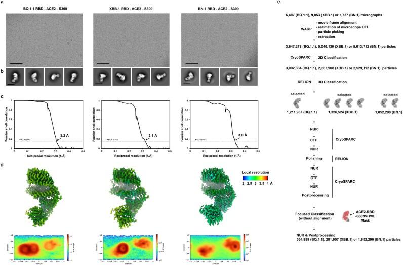 https://cdn.ncbi.nlm.nih.gov/pmc/blobs/fa9a/10511321/cbe089b34f05/41586_2023_6487_Fig7_ESM.jpg