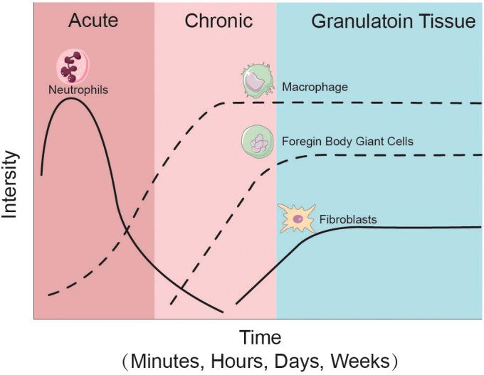 https://cdn.ncbi.nlm.nih.gov/pmc/blobs/fa9a/10579613/e69df7a41314/fcimb-13-1275086-g002.jpg