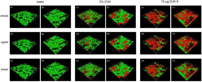 https://cdn.ncbi.nlm.nih.gov/pmc/blobs/fa9b/10544135/9fff57c697b5/12903_2023_3381_Fig3_HTML.jpg