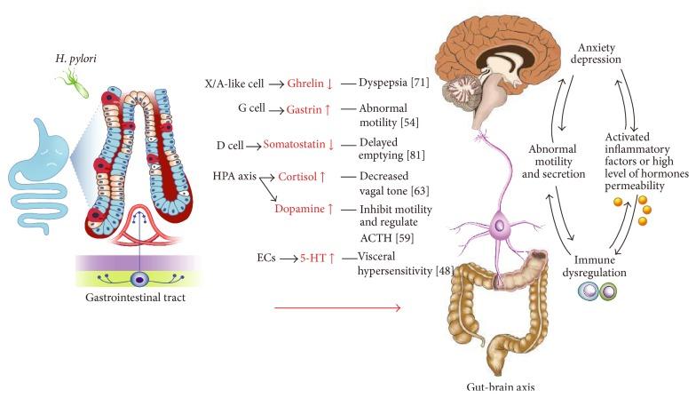 https://cdn.ncbi.nlm.nih.gov/pmc/blobs/fa9d/5093276/f3b445fe9f9d/GRP2016-7150959.002.jpg