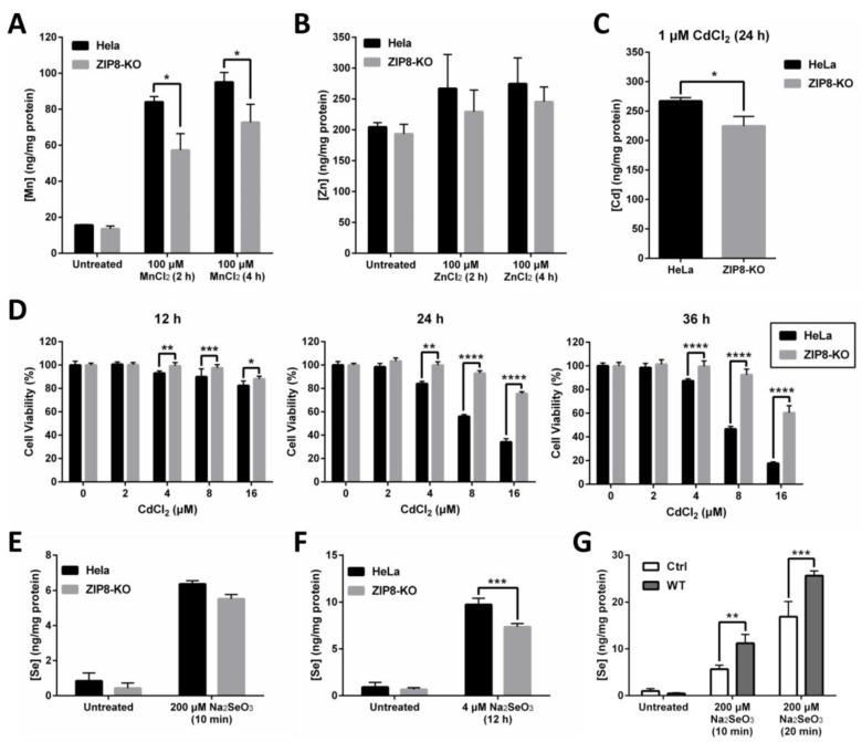 https://cdn.ncbi.nlm.nih.gov/pmc/blobs/fa9e/8583799/9403709e7d8a/ijms-22-11399-g002.jpg
