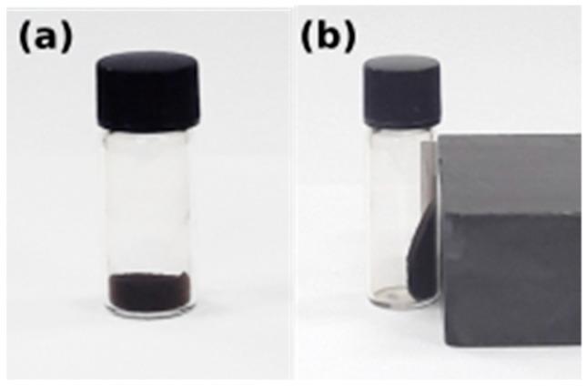 https://cdn.ncbi.nlm.nih.gov/pmc/blobs/faa0/6832892/2733e250d19d/molecules-24-03803-g009.jpg