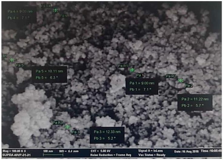 https://cdn.ncbi.nlm.nih.gov/pmc/blobs/faa0/6832892/3a880389a925/molecules-24-03803-g005.jpg