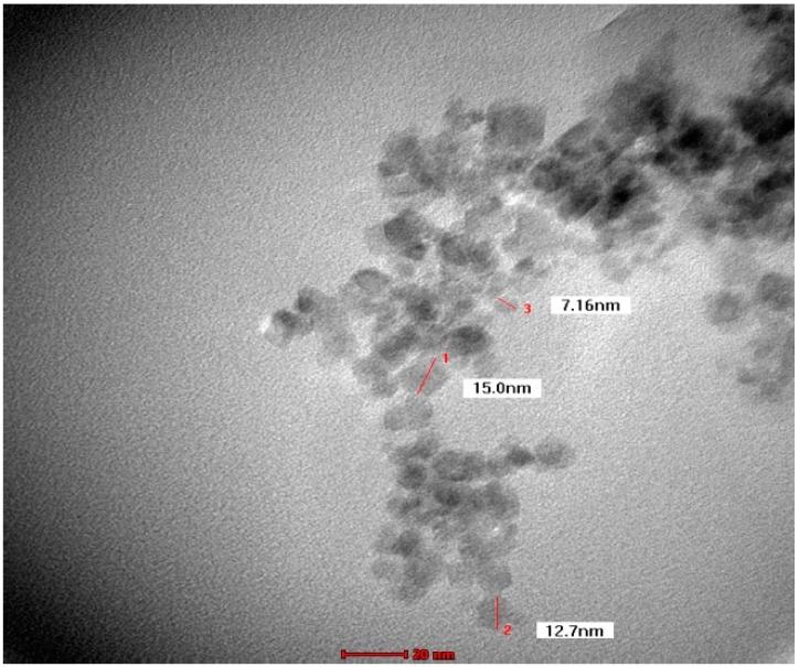https://cdn.ncbi.nlm.nih.gov/pmc/blobs/faa0/6832892/e26afc16811a/molecules-24-03803-g004.jpg