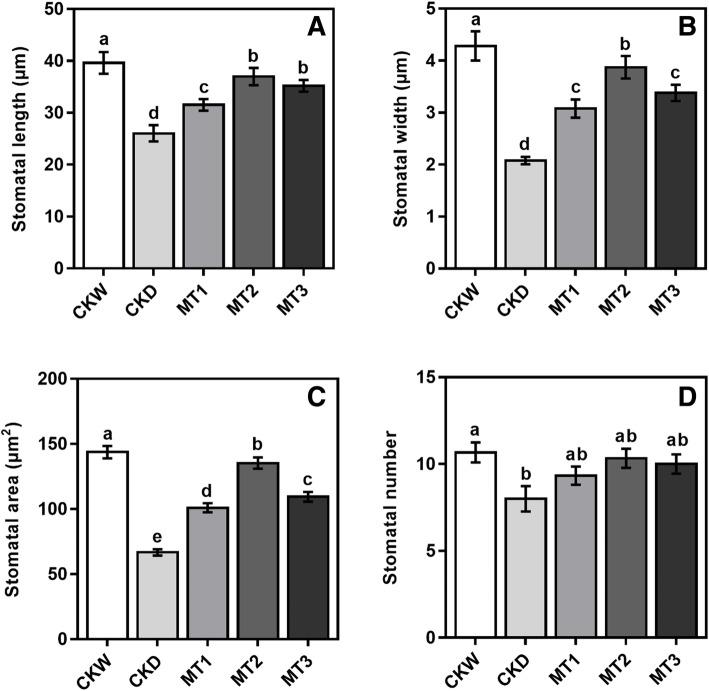 https://cdn.ncbi.nlm.nih.gov/pmc/blobs/faa0/8359050/01b8043d9324/12870_2021_3160_Fig4_HTML.jpg