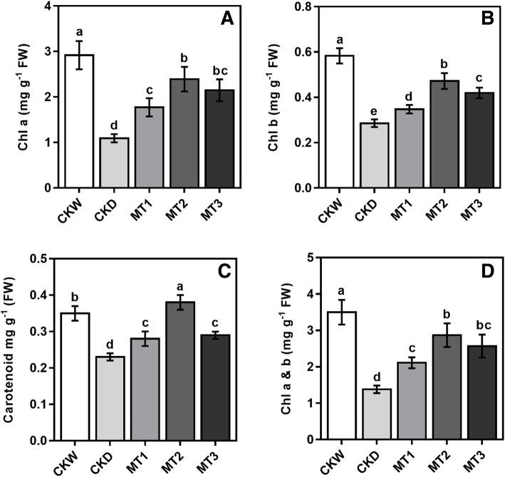 https://cdn.ncbi.nlm.nih.gov/pmc/blobs/faa0/8359050/17686bd0d80d/12870_2021_3160_Fig2_HTML.jpg
