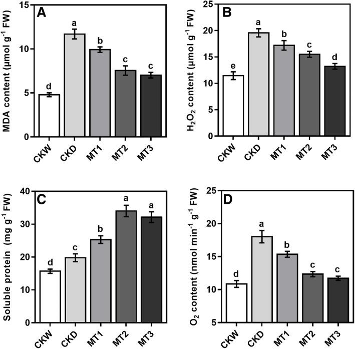 https://cdn.ncbi.nlm.nih.gov/pmc/blobs/faa0/8359050/b444370e4c2f/12870_2021_3160_Fig6_HTML.jpg