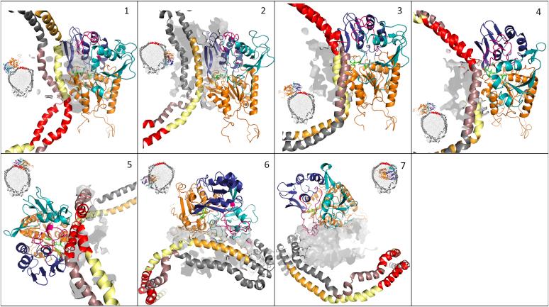 https://cdn.ncbi.nlm.nih.gov/pmc/blobs/faa3/7859856/32a913aa954f/gr7.jpg