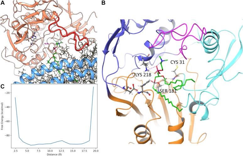 https://cdn.ncbi.nlm.nih.gov/pmc/blobs/faa3/7859856/5cbbc8104d43/gr9.jpg