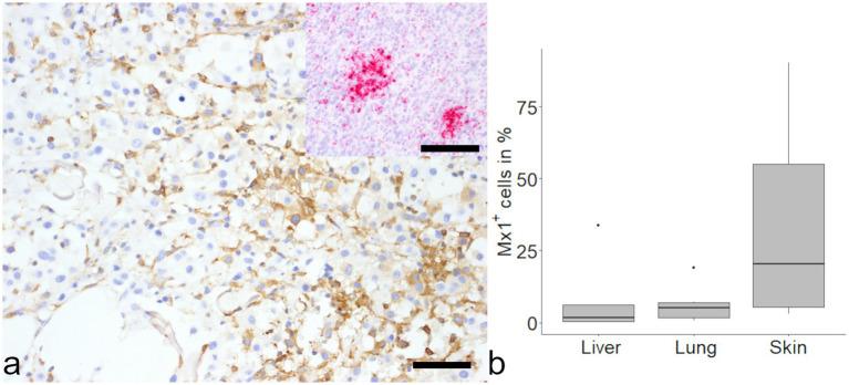 https://cdn.ncbi.nlm.nih.gov/pmc/blobs/faa5/12014657/7719b1ae104c/fvets-12-1546047-g004.jpg