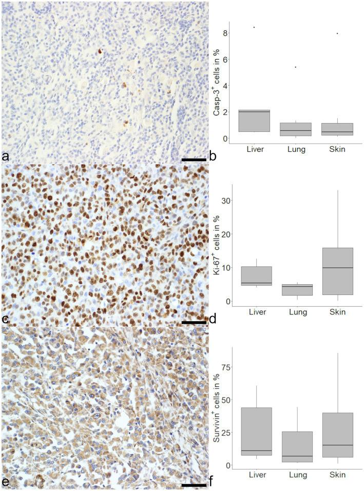 https://cdn.ncbi.nlm.nih.gov/pmc/blobs/faa5/12014657/f080abb341bd/fvets-12-1546047-g001.jpg