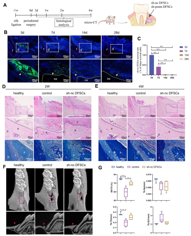 https://cdn.ncbi.nlm.nih.gov/pmc/blobs/faa7/10094259/3531117afe49/ijms-24-06353-g001.jpg