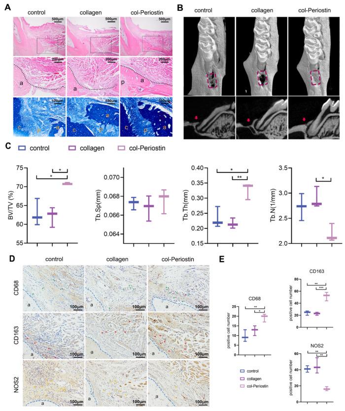 https://cdn.ncbi.nlm.nih.gov/pmc/blobs/faa7/10094259/38098f1d474b/ijms-24-06353-g007.jpg