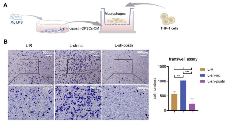 https://cdn.ncbi.nlm.nih.gov/pmc/blobs/faa7/10094259/c723e6581a4e/ijms-24-06353-g003.jpg
