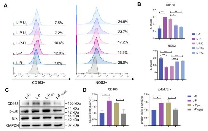 https://cdn.ncbi.nlm.nih.gov/pmc/blobs/faa7/10094259/d9dfd1dd0e6a/ijms-24-06353-g006.jpg