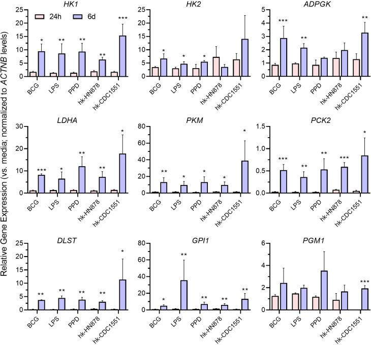https://cdn.ncbi.nlm.nih.gov/pmc/blobs/faab/11302266/95828e60e18d/spectrum.00473-24.f005.jpg