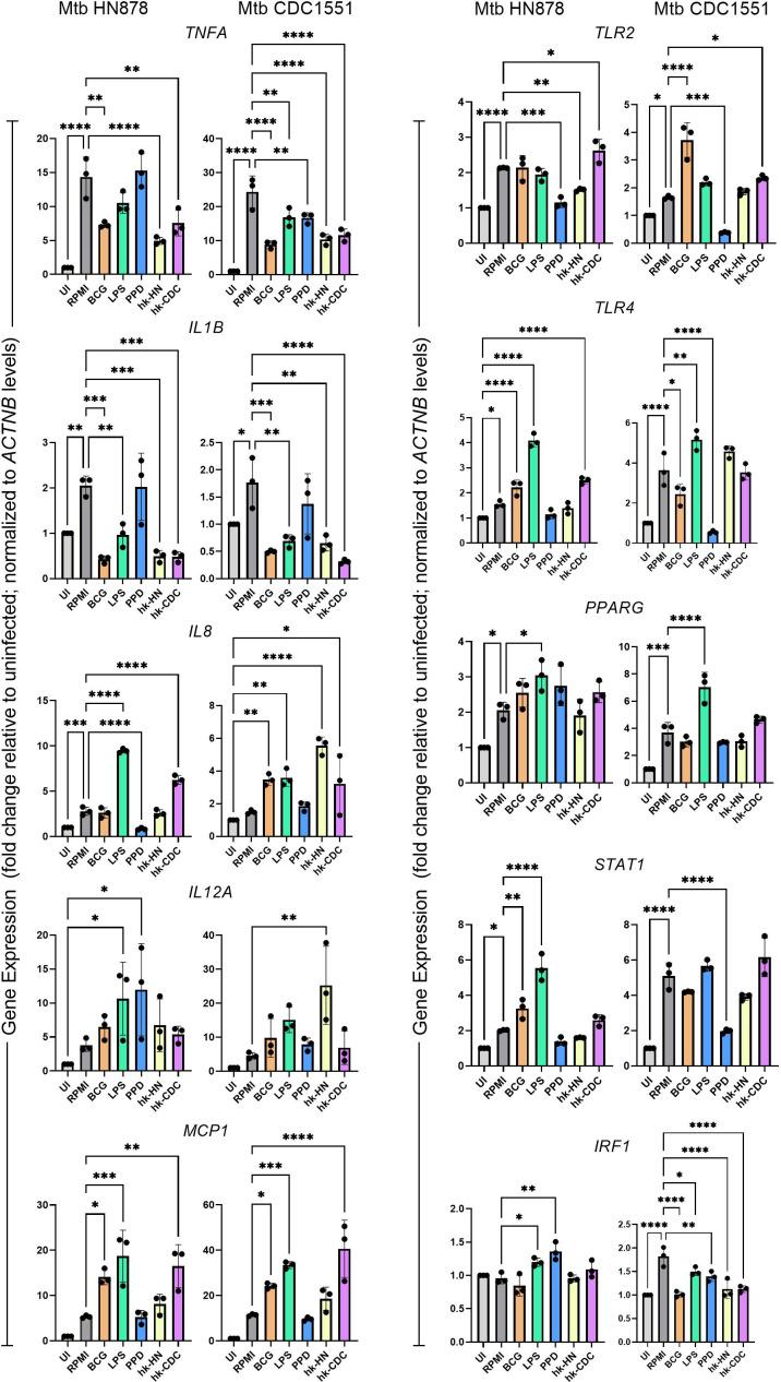 https://cdn.ncbi.nlm.nih.gov/pmc/blobs/faab/11302266/d309679de7d5/spectrum.00473-24.f002.jpg